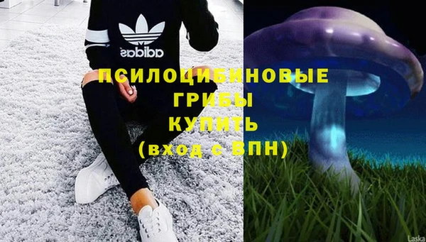 гашишное масло Богородицк