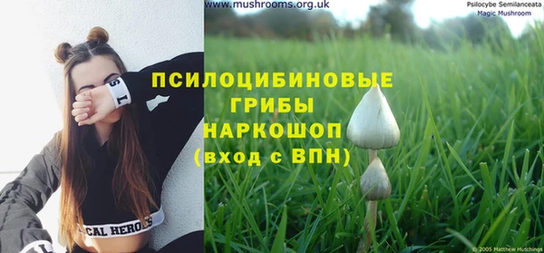 гашишное масло Богородицк