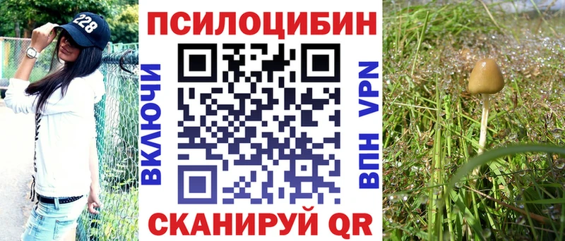 Псилоцибиновые грибы мухоморы Дорогобуж